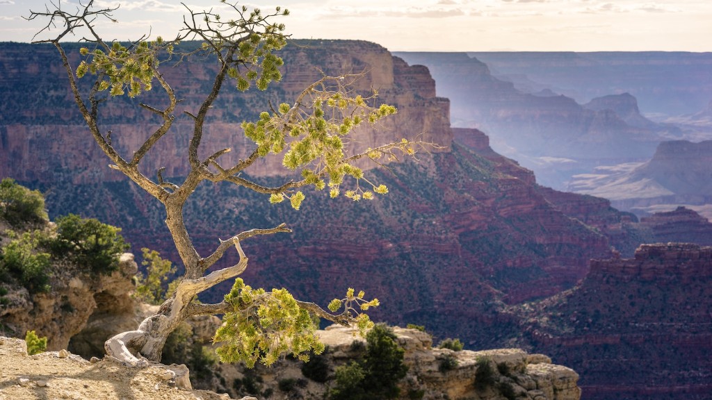 Quale stato è conosciuto come lo stato del Grand Canyon