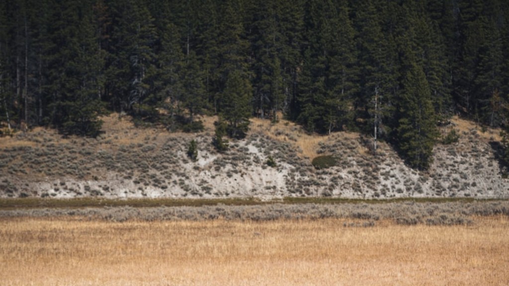 Quanto dista il parco di Yellowstone da Silverlake Wa?