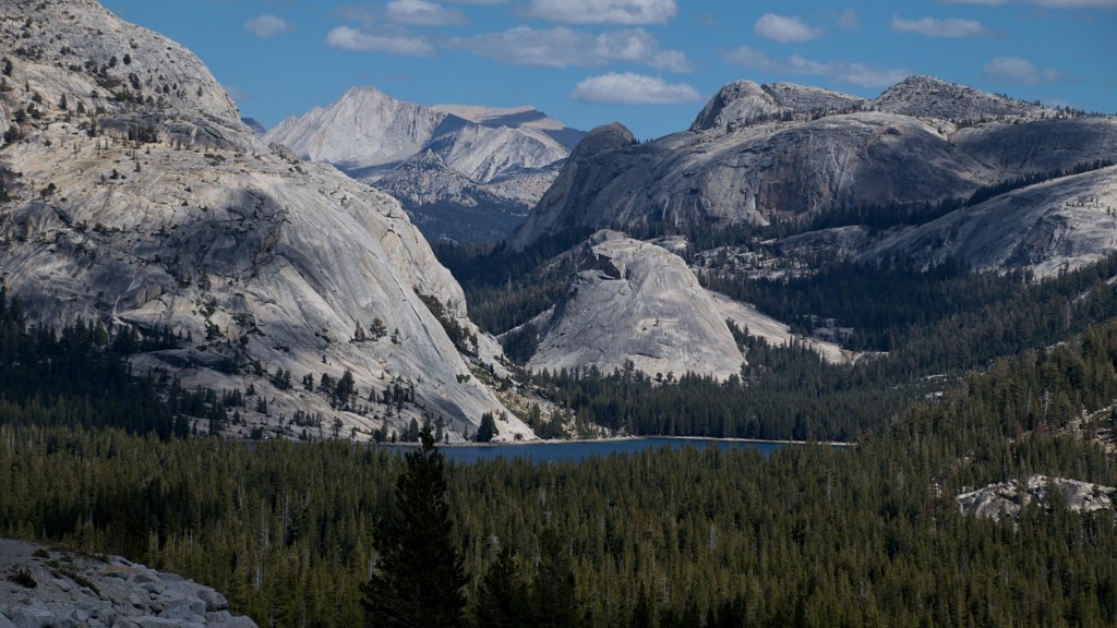 Quali attività puoi fare al Parco Nazionale Yosemite